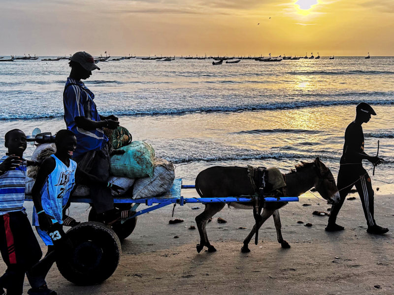 placeholder image wide